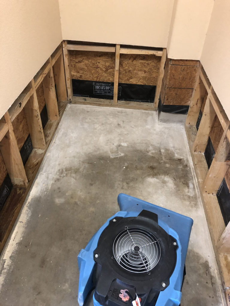 Air mover drying out a wall cavity after mold removal