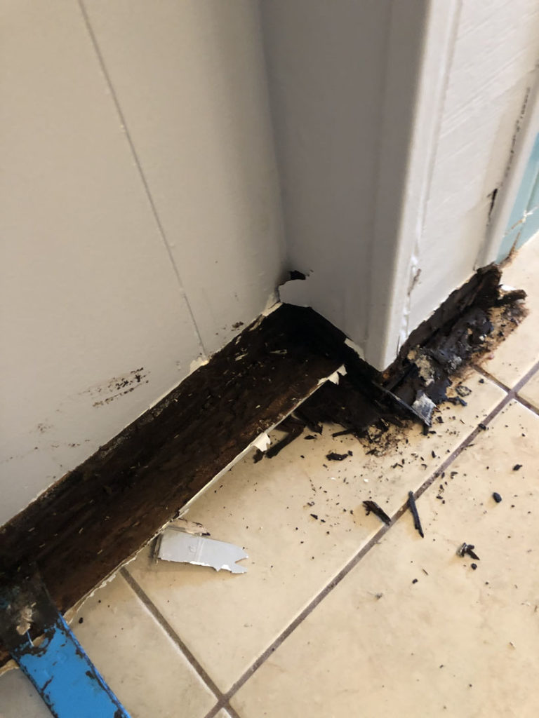 Water-damaged baseboard with mold and rot
