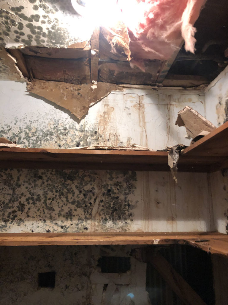 Mold growing behind a removed cabinet and shelving
