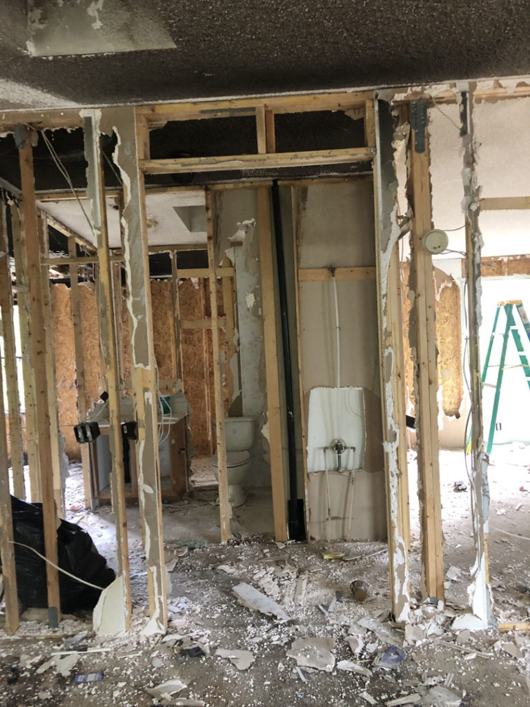 Moldy drywall removed down to the studs