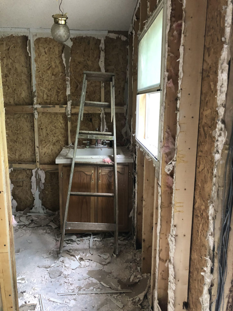 Wall cavities opened up for mold cleanup