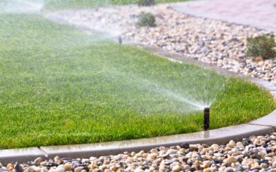 Don’t Let a Faulty Irrigation System Leave You High and Dry: How to Identify and Address Water Damage from an Automated Irrigation System