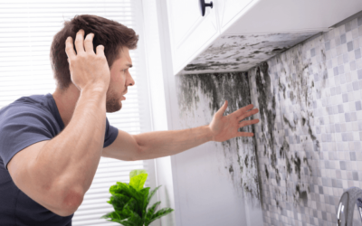 How to Get Rid of Black Mold: Regain a Healthy Home Environment in San Antonio