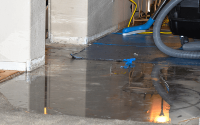 Ultimate Guide to Water Extraction: How to Protect Your Home After a Flood