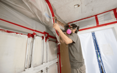 Step-by-step Guide To The Mold Remediation Process