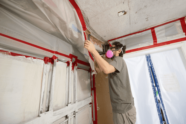 Step-by-Step Guide to the Mold Remediation Process