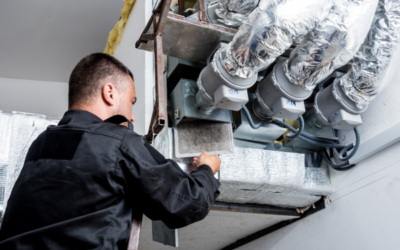 Mold in HVAC Systems Risks and Prevention Tips