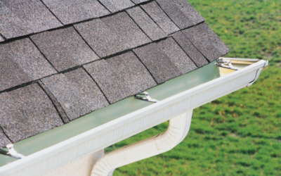 Gutters and Mold: Prevent Water Damage at Home