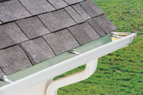 Gutters and Mold