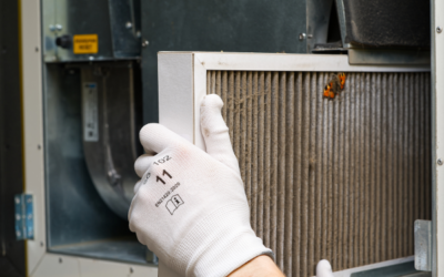 Preventing Mold Spread Through HVAC Systems
