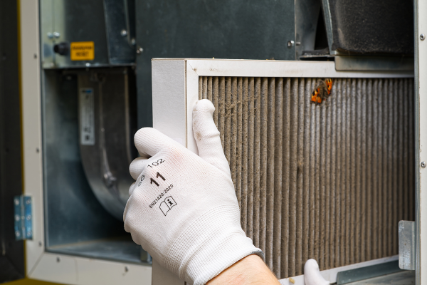 Mold Spread Through HVAC Systems