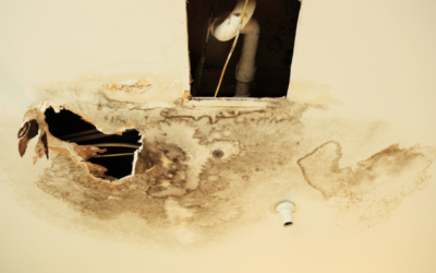 Hidden Risks of Water Damage for Homeowners