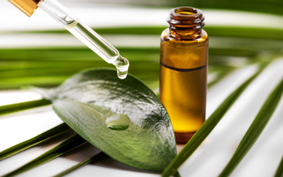 Safe Alternatives: Non-Toxic Mold Prevention at Home