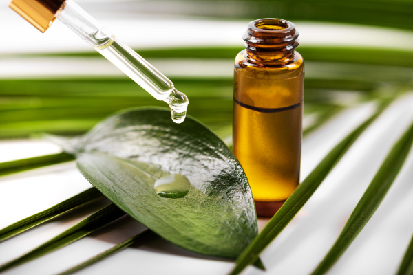 Tea tree oil for mold prevention