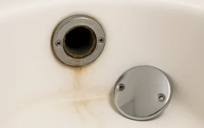 Bathtub Overflow Gasket Leak Unmasked
