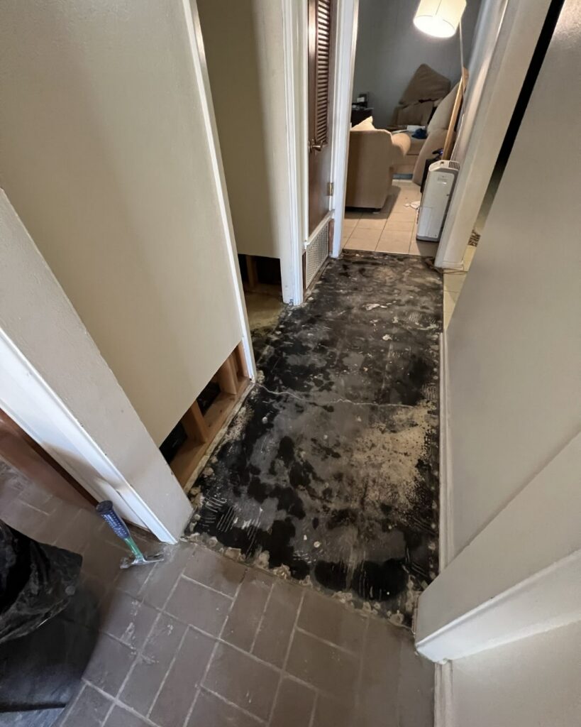 Stained subfloor found under flooring removed after past water damage